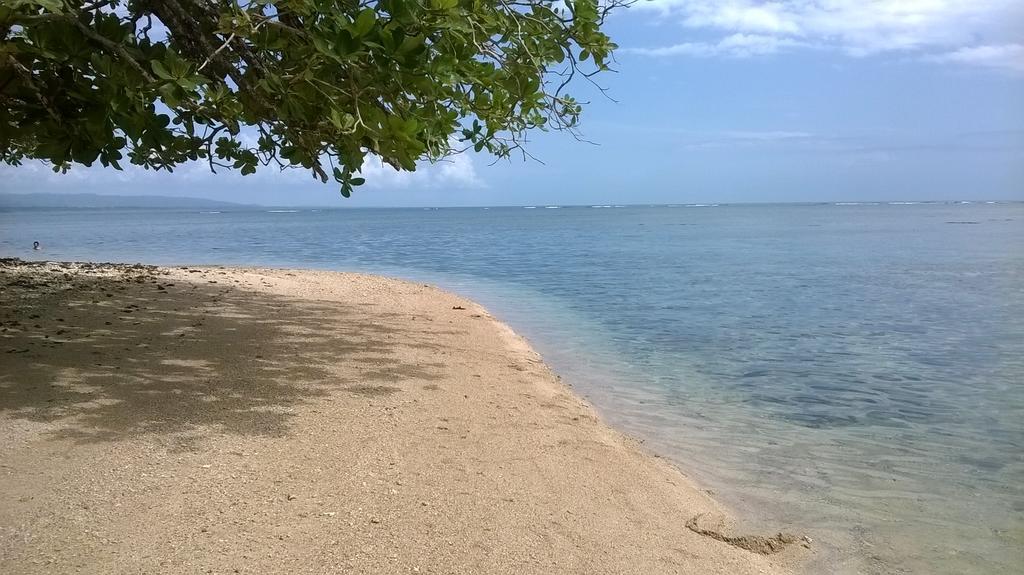 Cahuita Lodge ภายนอก รูปภาพ