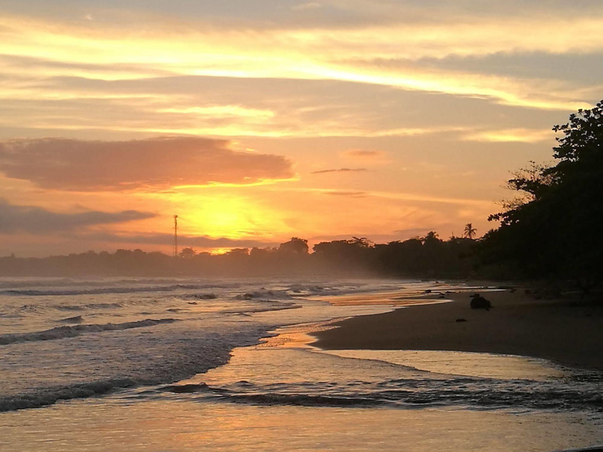 Cahuita Lodge ภายนอก รูปภาพ
